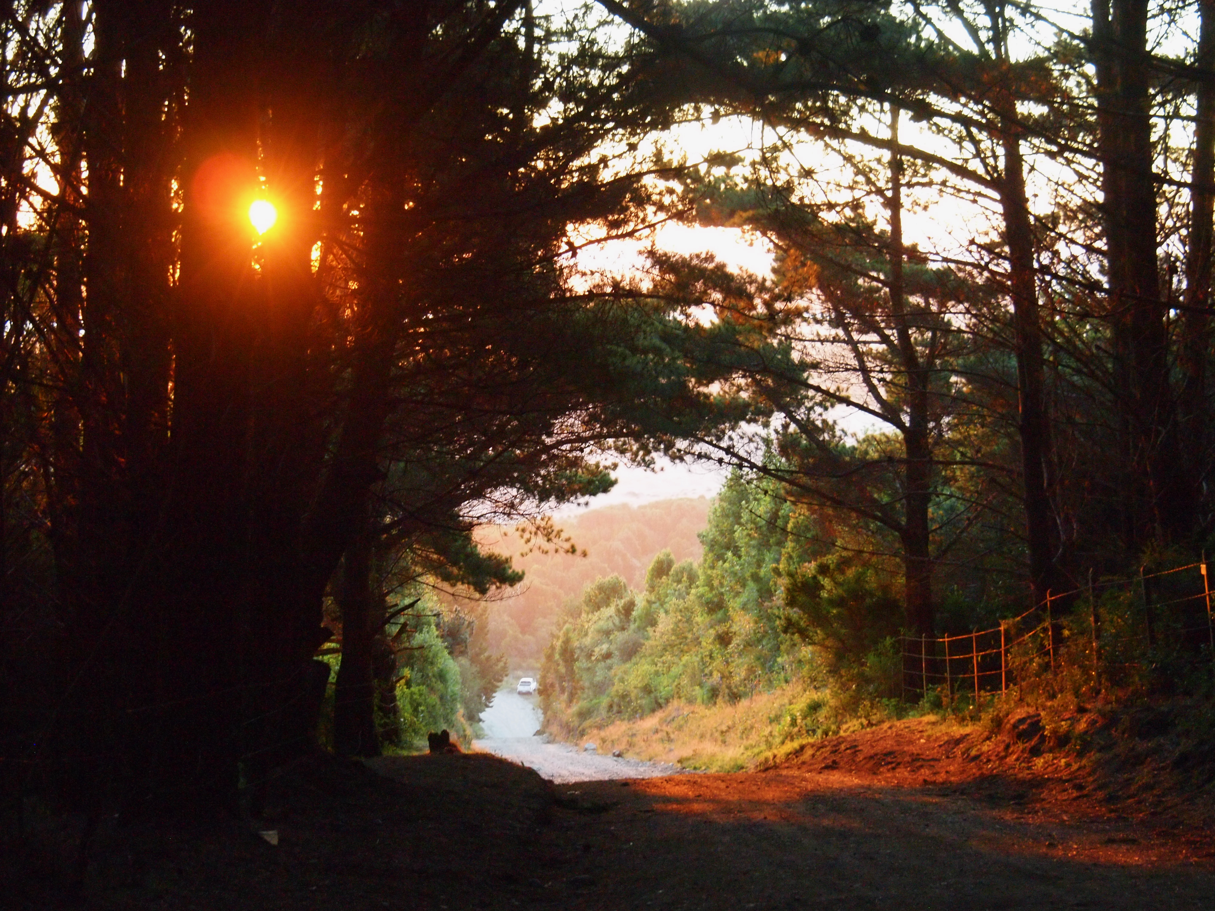 sunset, Buenos Aires — photograph by A.B. Quine