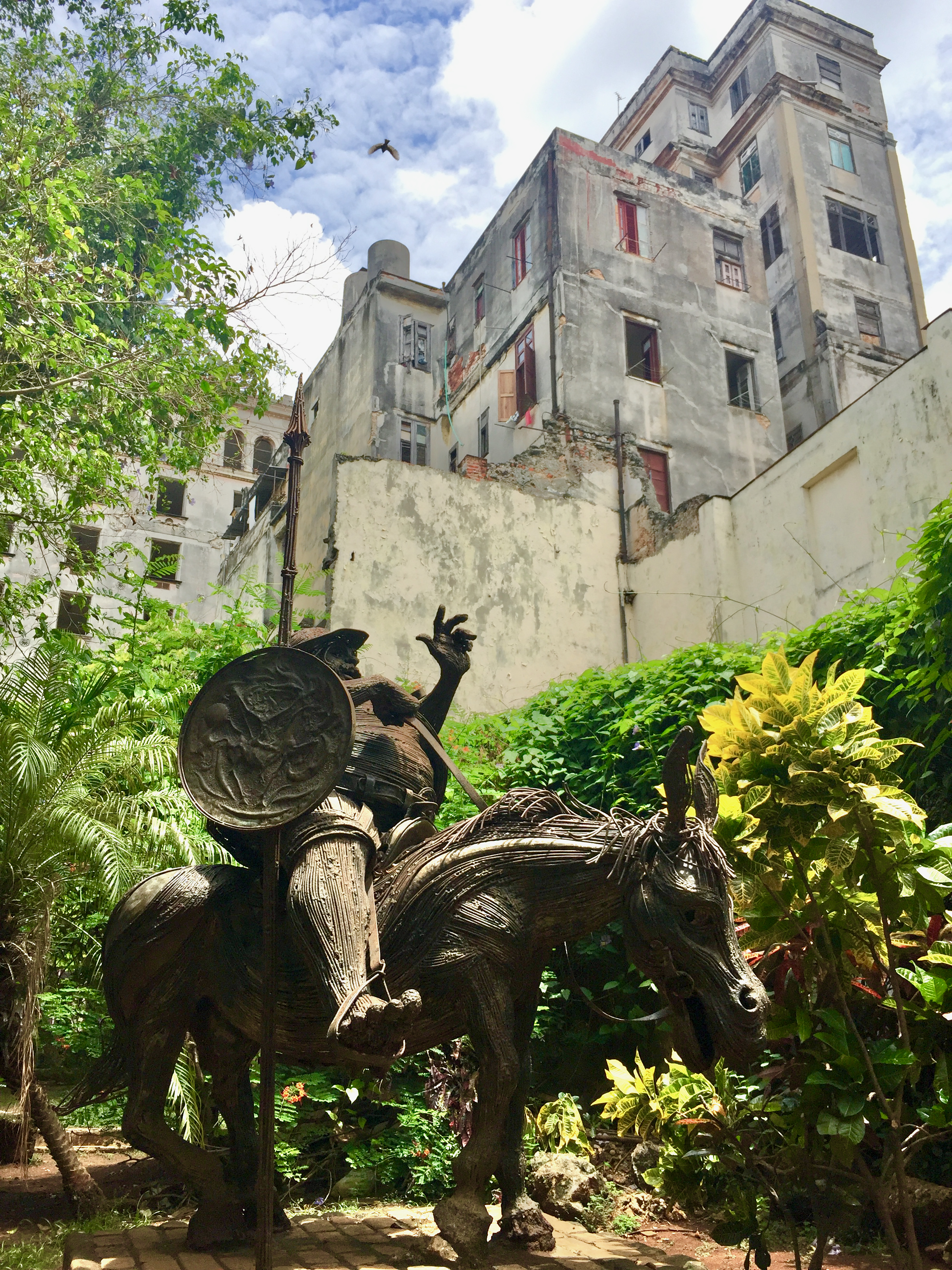 El Sancho de la Habana — photograph by A.B. Quine