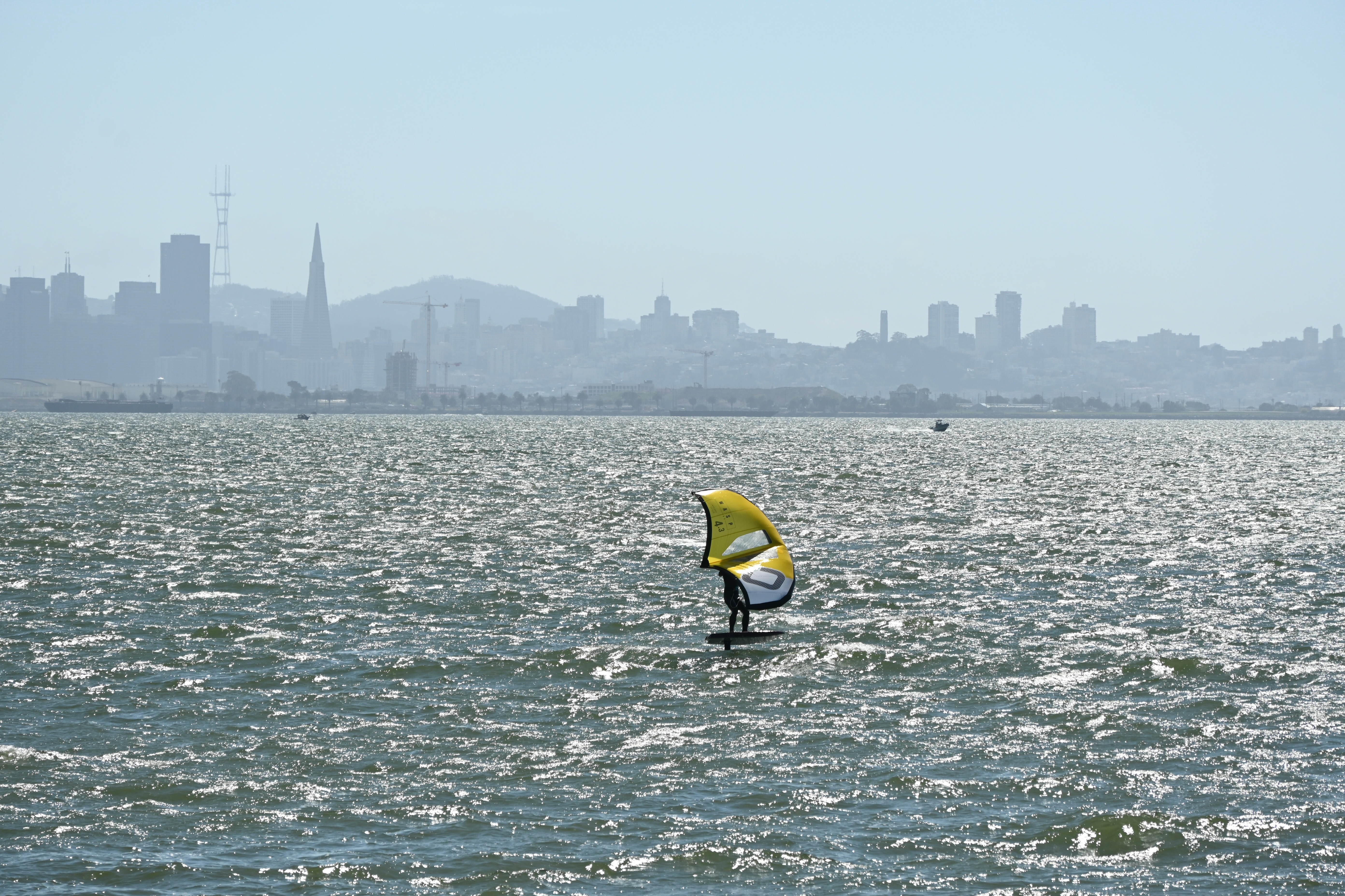 windsurfer in San Francisco Bay — photograph by A.B. Quine