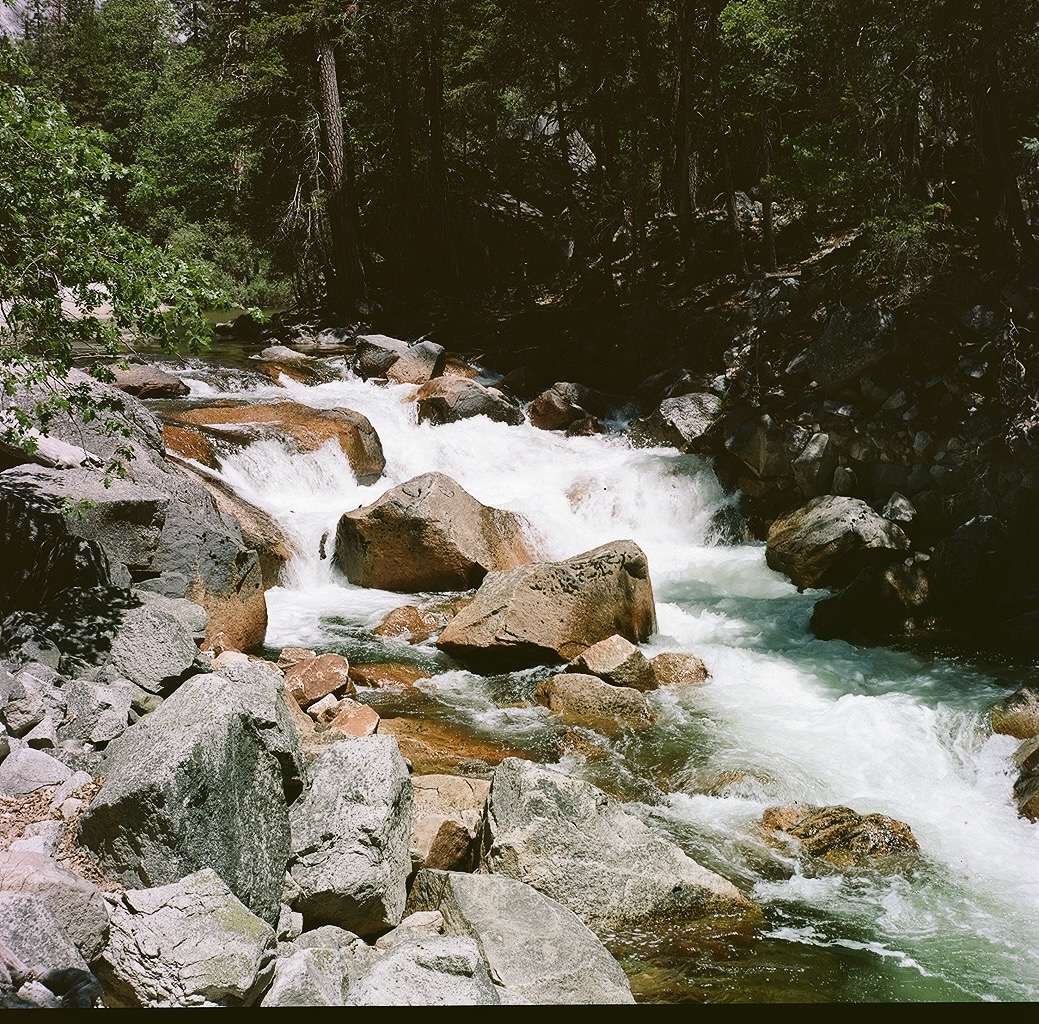 whitewater stream — photograph by A.B. Quine